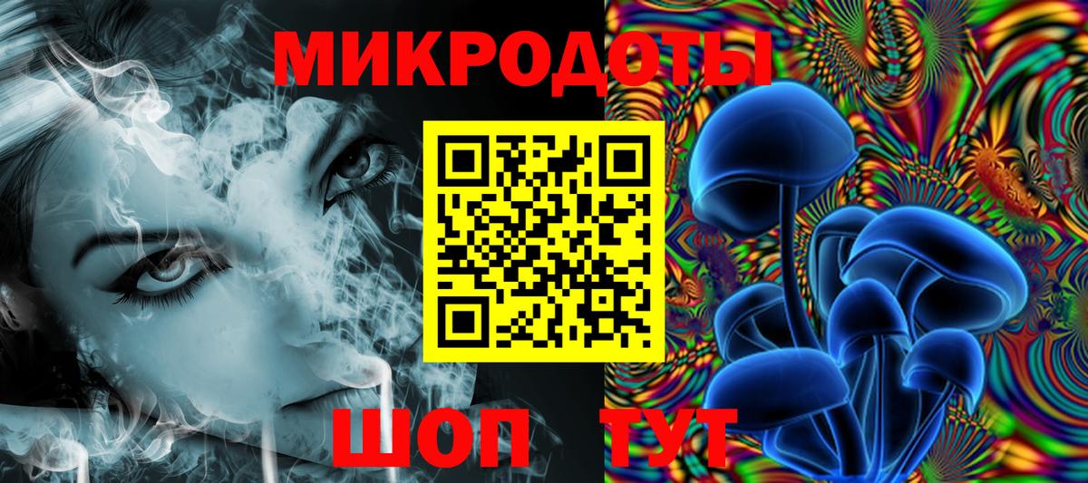 Псилоцибиновые грибы Psilocybine cubensis Кропоткин