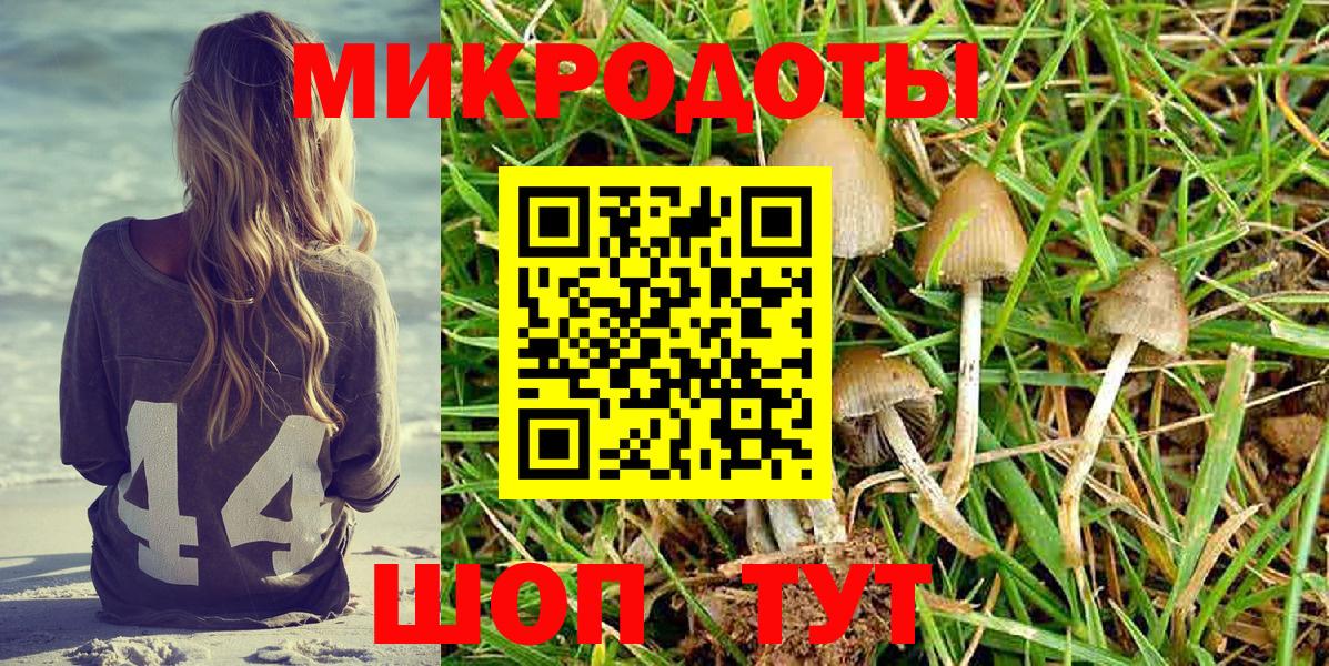 Псилоцибиновые грибы Magic Shrooms  Вход с VPN  Кропоткин 